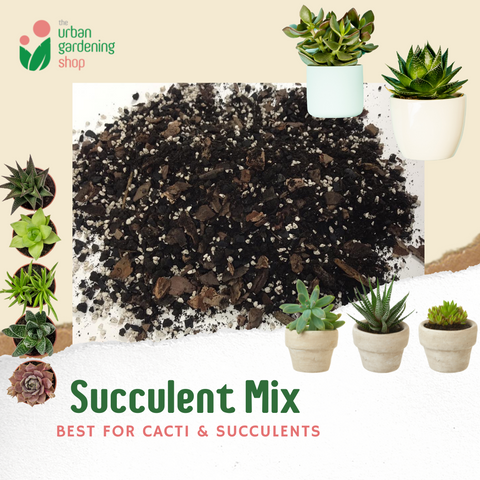 8-liter PREMIUM SUCCULENT POTTING MIX - High Quality Soilless Media for Cacti and Succulents