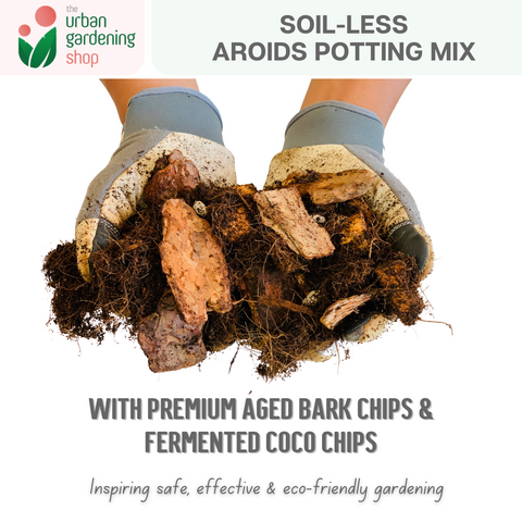 AROIDS SOIL -LESS POTTING MIX- Best for Monstera, Philodendron, Aglaonema, Alocasia, Pothos and Most Types of House Plants that tend to grow extensive aerial roots