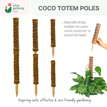 The Urban Gardening Shop |  Premium Coco Fiber Totem Moss Pole|  Stackable Plant Support 30cm 40cm