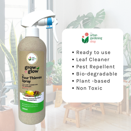 THE FOUR THIEVES BLEND All-Purpose Garden Spray -  Disinfectant, Cleaning, Misting, Air Freshener and Insect Repellant in One – For  Indoor Use