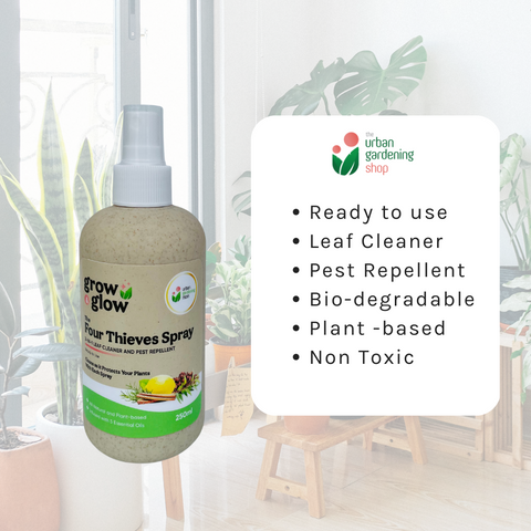 THE FOUR THIEVES BLEND All-Purpose Garden Spray -  Disinfectant, Cleaning, Misting, Air Freshener and Insect Repellant in One – For  Indoor Use