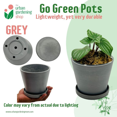 Go Green Eco-Friendly Garden Pots | Nordic Style Minimalist Classic