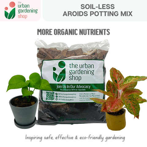 AROIDS SOIL -LESS POTTING MIX- Best for Monstera, Philodendron, Aglaonema, Alocasia, Pothos and Most Types of House Plants that tend to grow extensive aerial roots