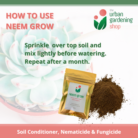 NEEM GROW -   Pure Neem Cake Powder – All-Natural Soil Additive derived from Neem Cake