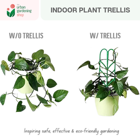 The Urban Gardening Shop |  Stackable Leaf-shaped Plant Support and Trellis| 3-pcs per pack
