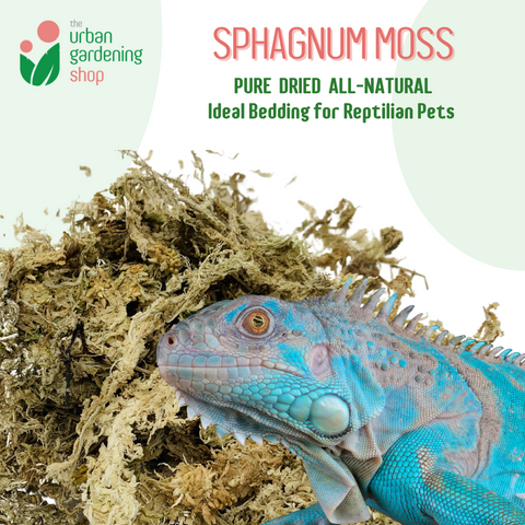 SPHAGNUM MOSS - High Quality Moss - Best for Orchids and Pet Bedding