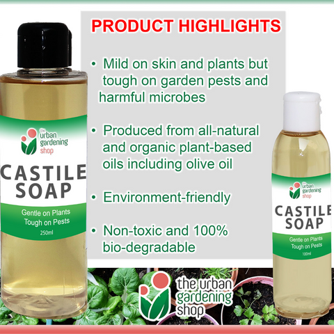 LIQUID CASTILE SOAP  Organic Pesticide, Safe, Environment-friendly and Non-toxic Pest Control for the Garden