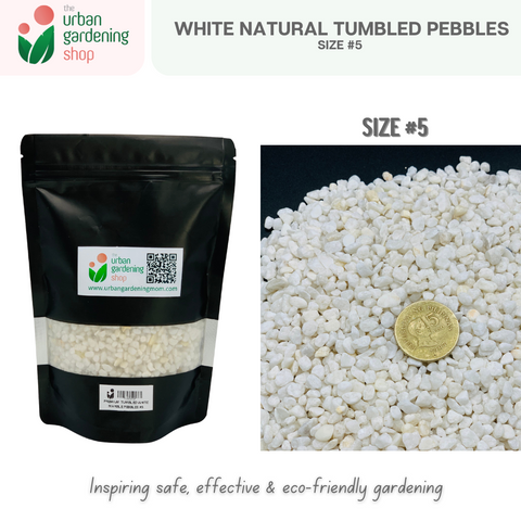 White Tumbled Natural Pebbles|  Ideal For Mulching, Decorative Topping and Landcapeing for Gardening and Aquarium  1kilo per pack