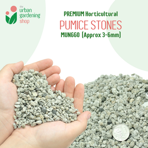 PUMICE Rocks and Pebbles for Gardening Purposes