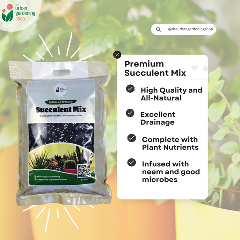 8-liter PREMIUM SUCCULENT POTTING MIX - High Quality Soilless Media for Cacti and Succulents