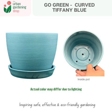 Go Green Eco-Friendly Garden Pots For Indoor Plants | CURVED DESIGN