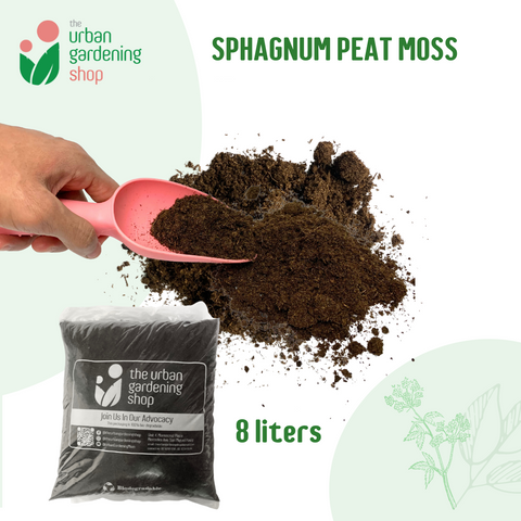 SPHAGNUM PEAT MOSS Premium Potting Soil Substitute