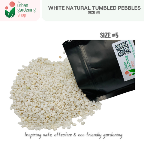 White Tumbled Natural Pebbles|  Ideal For Mulching, Decorative Topping and Landcapeing for Gardening and Aquarium  1kilo per pack