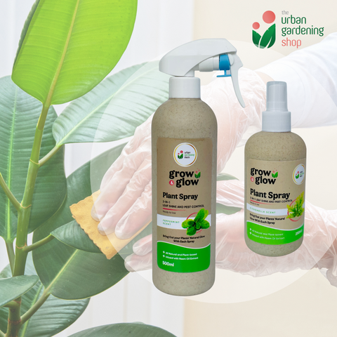 500ml Grow & Glow - Plant Spray For Leaf Cleaning, Shine and Protection