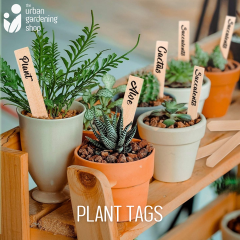 ECO-FRIENDLY PLANT TAGS - High Quality Wooden Garden Markers / THE URBAN GARDENING SHOP