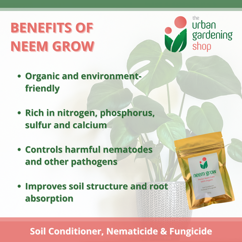 NEEM GROW -   Pure Neem Cake Powder – All-Natural Soil Additive derived from Neem Cake