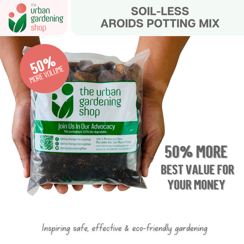 AROIDS SOIL -LESS POTTING MIX- Best for Monstera, Philodendron, Aglaonema, Alocasia, Pothos and Most Types of House Plants that tend to grow extensive aerial roots