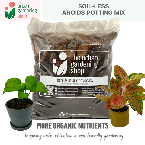 AROIDS SOIL -LESS POTTING MIX- Best for Monstera, Philodendron, Aglaonema, Alocasia, Pothos and Most Types of House Plants that tend to grow extensive aerial roots