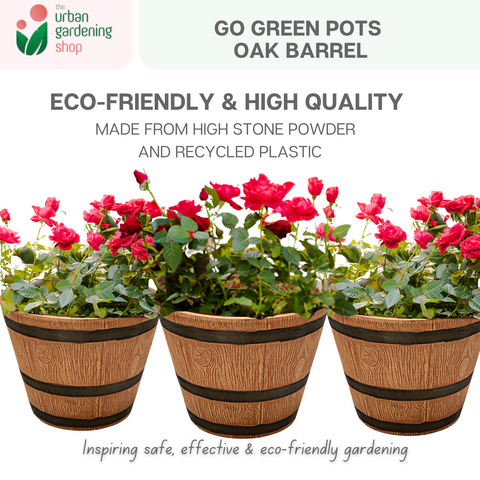 Go Green Eco-Friendly Garden Pots For Indoor Plants | OAK BARREL - 25cm