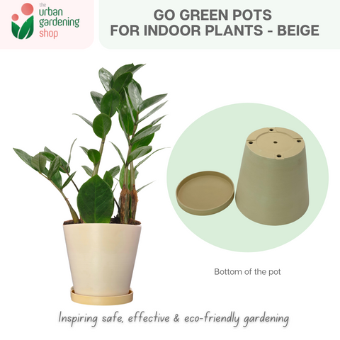 Go Green Eco-Friendly Garden Pots For Indoor Plants | LARGE Size - 19.5cm