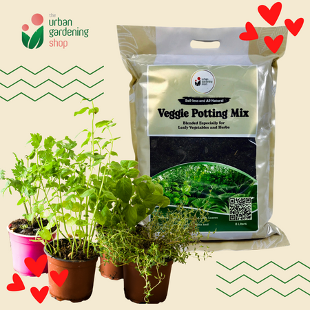 8-liter VEGGIE POTTING MIX   Premium Soilless Potting Mix for Leafy Greens and Herbs