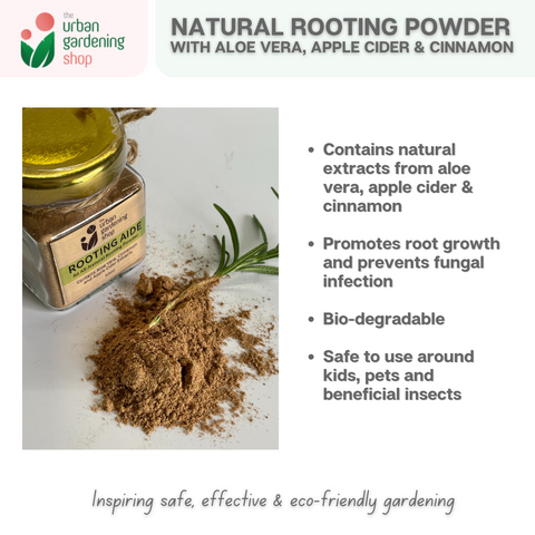 ROOTING AIDE (50ml)|  An All-natural Plant Rooting Powder