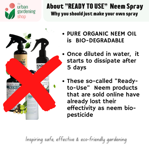 COLD NEEM 100% Pure Neem Oil Extracted from Neem Seeds using Cold Press Method