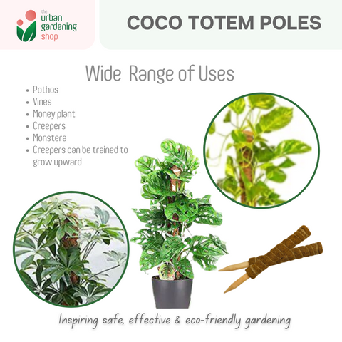 The Urban Gardening Shop |  Premium Coco Fiber Totem Moss Pole|  Stackable Plant Support 30cm 40cm