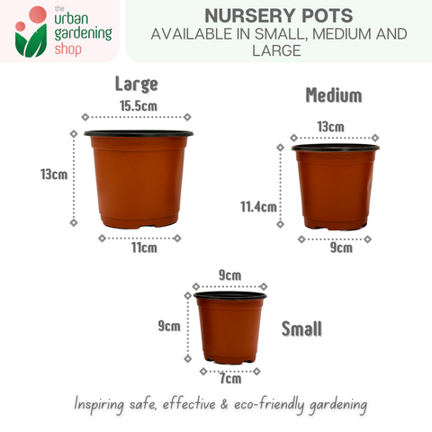Lightweight Nursery Seedling Pots |  Plastic Red and Black Color in 3 Different Sizes