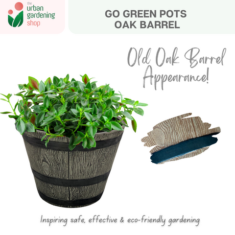 Go Green Eco-Friendly Garden Pots For Indoor Plants | OAK BARREL - 25cm