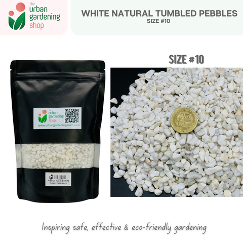 White Tumbled Natural Pebbles|  Ideal For Mulching, Decorative Topping and Landcapeing for Gardening and Aquarium  1kilo per pack