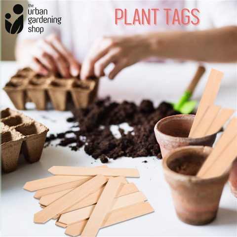 ECO-FRIENDLY PLANT TAGS - High Quality Wooden Garden Markers / THE URBAN GARDENING SHOP