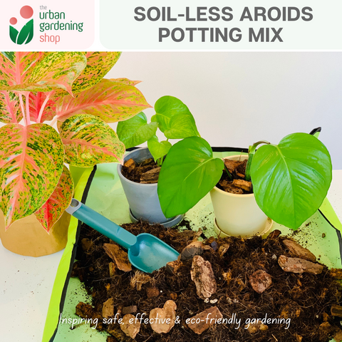 AROIDS SOIL -LESS POTTING MIX- Best for Monstera, Philodendron, Aglaonema, Alocasia, Pothos and Most Types of House Plants that tend to grow extensive aerial roots