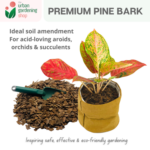 Premium Pine Bark Mulch|  Ideal Mulch and Soil Amendment For Orchids, Aroids and Succulents