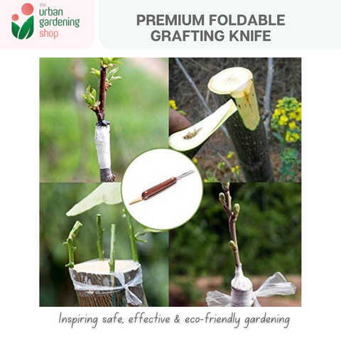 Gardening Grafting Knife |  Premium Quality Stainless Steel Blade