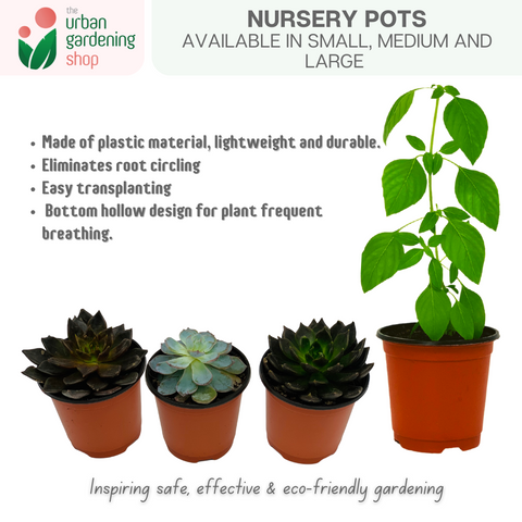 Lightweight Nursery Seedling Pots |  Plastic Red and Black Color in 3 Different Sizes