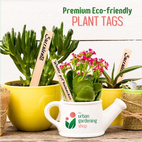 ECO-FRIENDLY PLANT TAGS - High Quality Wooden Garden Markers / THE URBAN GARDENING SHOP