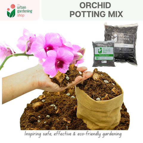 ORCHID MIX   Best Suited for Orchids and Hanging Ornamental Plants