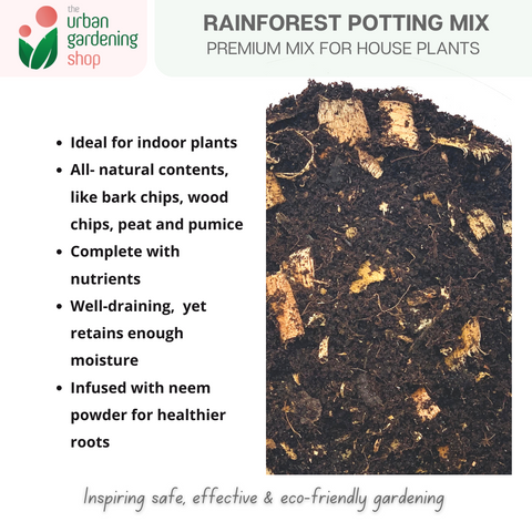 Soil-less Rainforest Potting Mix  For Tropical House Plants | Most Ideal for Small to Medium Indoor Plant Varieties