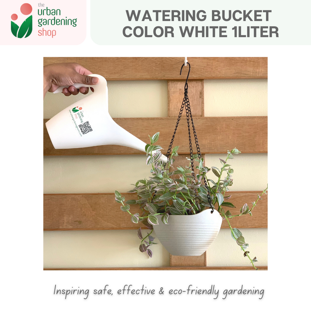 Long Beak Watering Bucket|   1.0 liter White or 1.8 liter Tiffany
