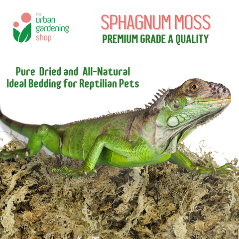 SPHAGNUM MOSS - High Quality Moss - Best for Orchids and Pet Bedding