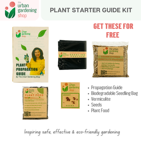 Soil-less Plant Starting Mix (2.0 Liter per Pack + FREE Starting Guide Kit)| Best Grow Media For Starting Plants