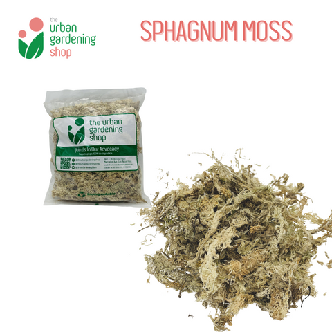 SPHAGNUM MOSS - High Quality Moss - Best for Orchids and Pet Bedding