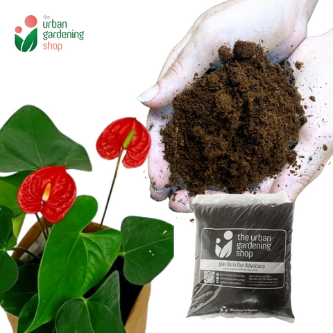 SPHAGNUM PEAT MOSS Premium Potting Soil Substitute