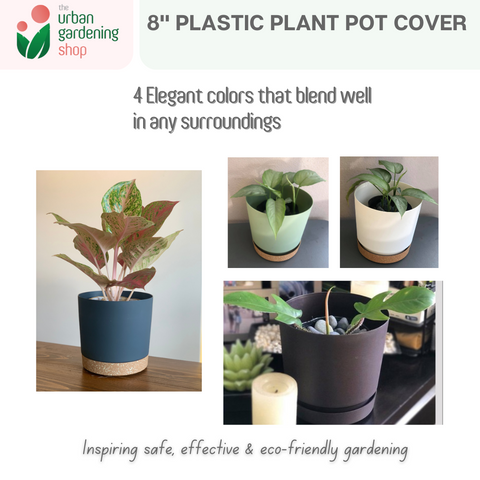 8" Plastic Pot Cover For Indoor Plants | White Grey Green or Dark Brown