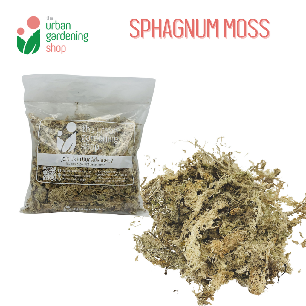 SPHAGNUM MOSS - High Quality Moss - Best for Orchids and Pet