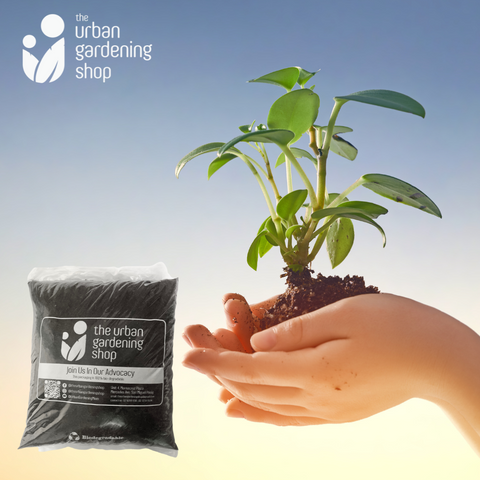 SPHAGNUM PEAT MOSS Premium Potting Soil Substitute