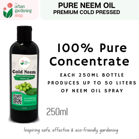 COLD NEEM 100% Pure Neem Oil Extracted from Neem Seeds using Cold Press Method