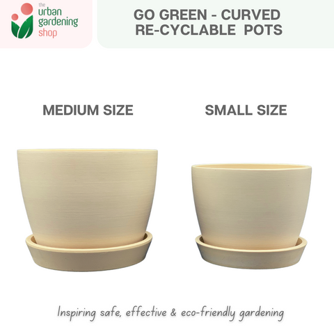 Go Green Eco-Friendly Garden Pots For Indoor Plants | CURVED DESIGN