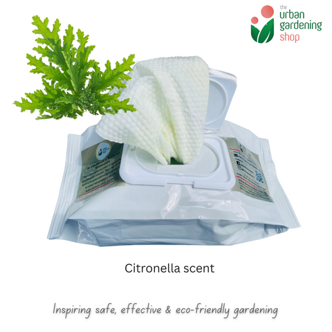 Bio-degradable Plant Wipes (40 sheets) - For Plant Cleaning and Leaf Shine